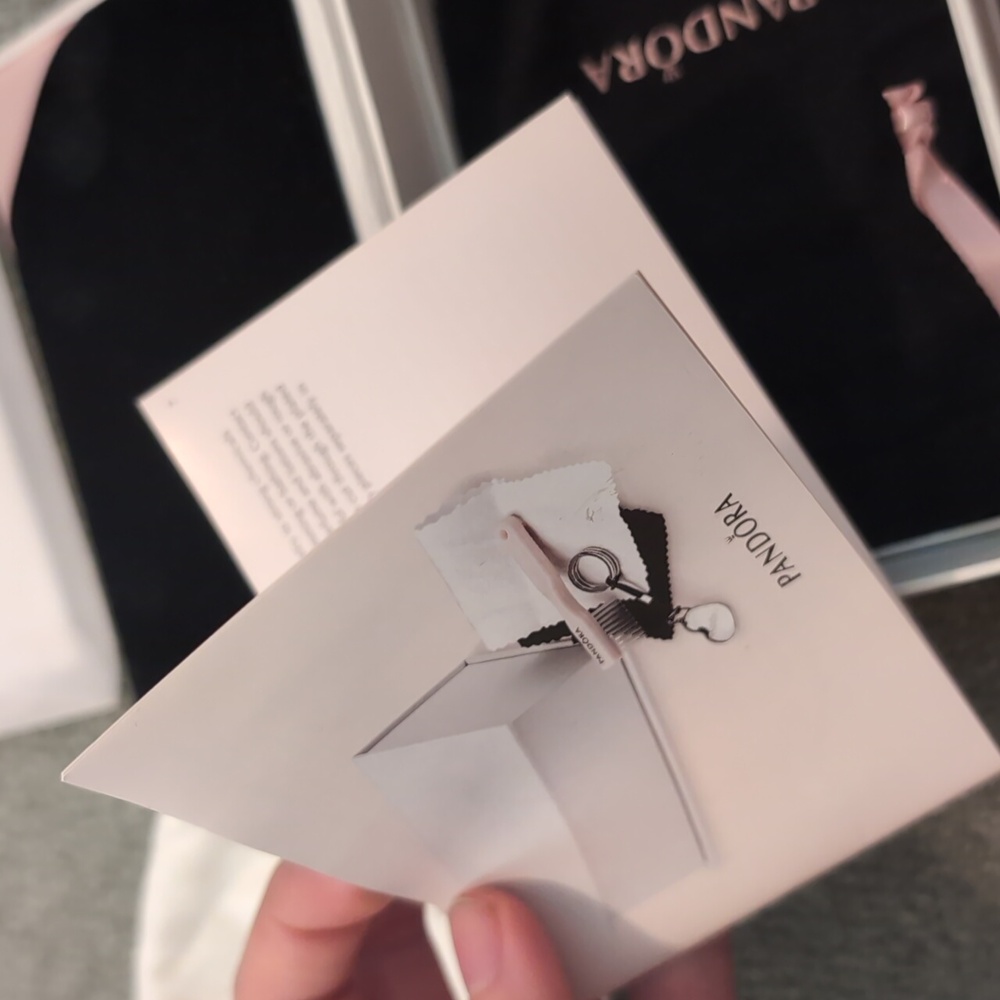 Pandora Cleaning Kit + Polishing Cloth - Picture 13 of 14